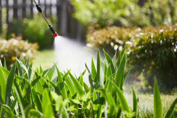 Tamper-Resistant Bait Stations for Rodents in Marshville