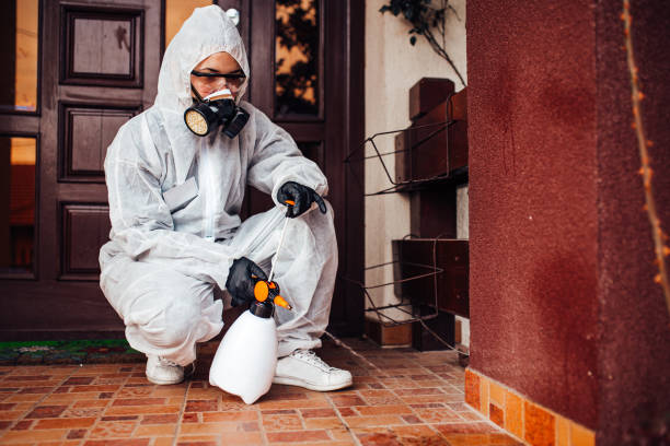 Attic and Crawl Space Rodent Treatment in Marshville