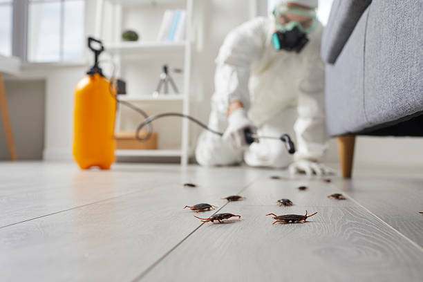 Commercial Rodent Management in Marshville